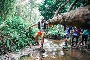 BIB: 
                            <button type="button" onclick="openModal(25375166)" class="btn btn-primary btn-sm float-right btn-popup" data-toggle="modal" data-target=".modal-high-quality">
                        <i class="fas fa-shopping-cart"></i> Add to Cart
                    </button>
                                            <button type="button" onclick="isThisMe(25375166, true)" class="btn btn-success btn-sm float-right btn-popup btn-isme hidden" data-toggle="tooltip" data-placement="bottom" title="นี่คือรูปของคุณใช่ไหม คลิกที่นี่เพื่อเอาเข้าอัลบั้ม">
                        <i class="fas fa-plus"></i> Add to album
                    </button>
                    <button type="button" onclick="isThisMe(25375166, false)" class="btn btn-warning btn-sm float-right btn-popup btn-isnotme hidden">
                        <i class="fas fa-ban"></i> Remove from album
                    </button>